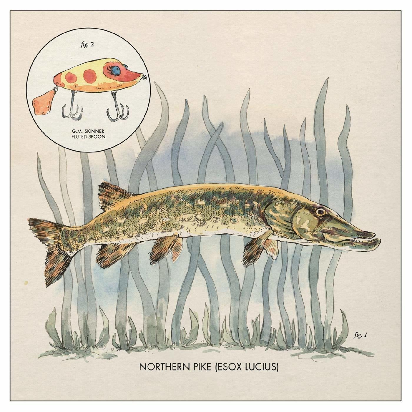 Nick Lowe IT (Vinyl) - - LAY ME ON