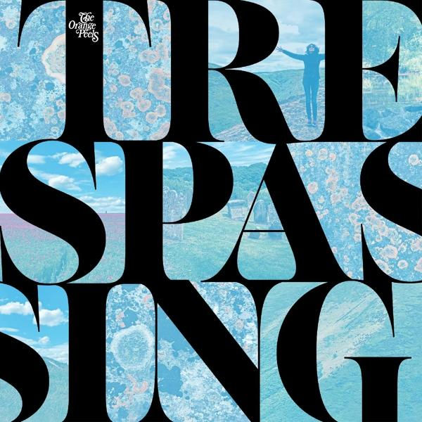 (Vinyl) - The Orange Peels - Trespassing