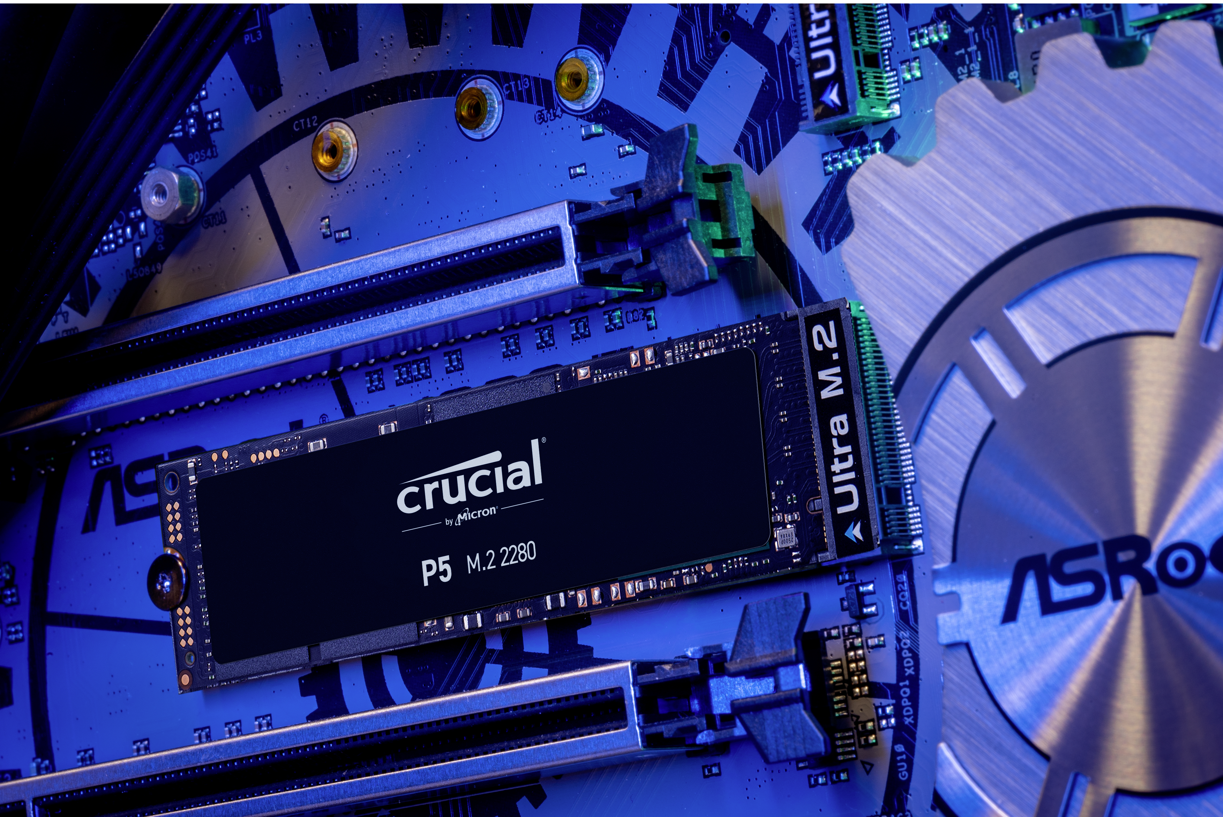 CRUCIAL P5 Festplatte, 1 TB SSD M.2 via PCIe, intern