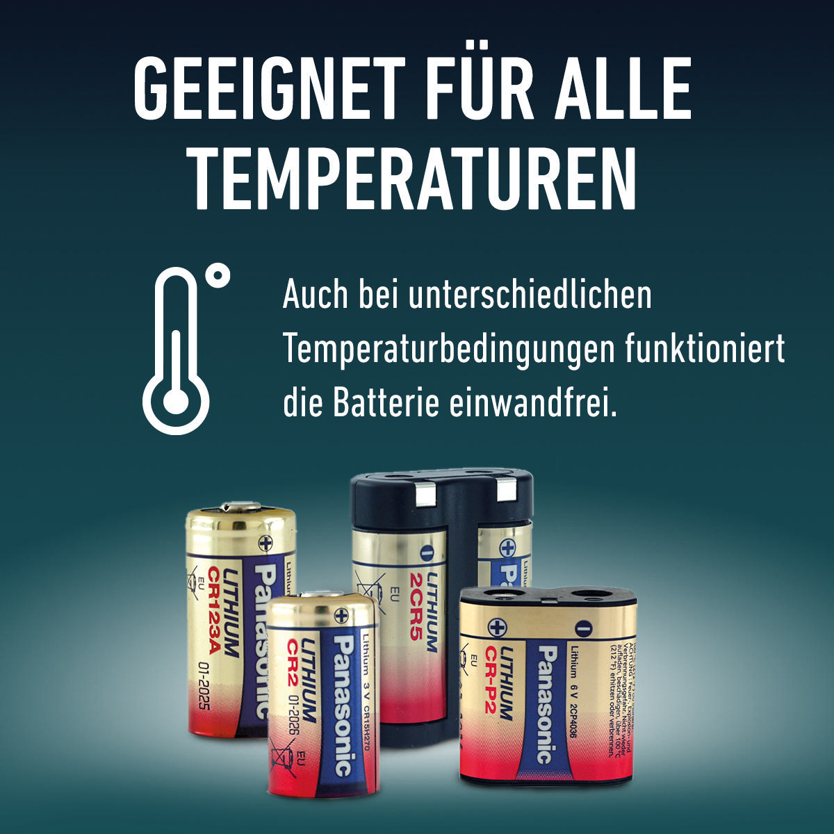 Vier Batterien verschiedener Größen, Text: Funktioniert bei allen Temperaturen.