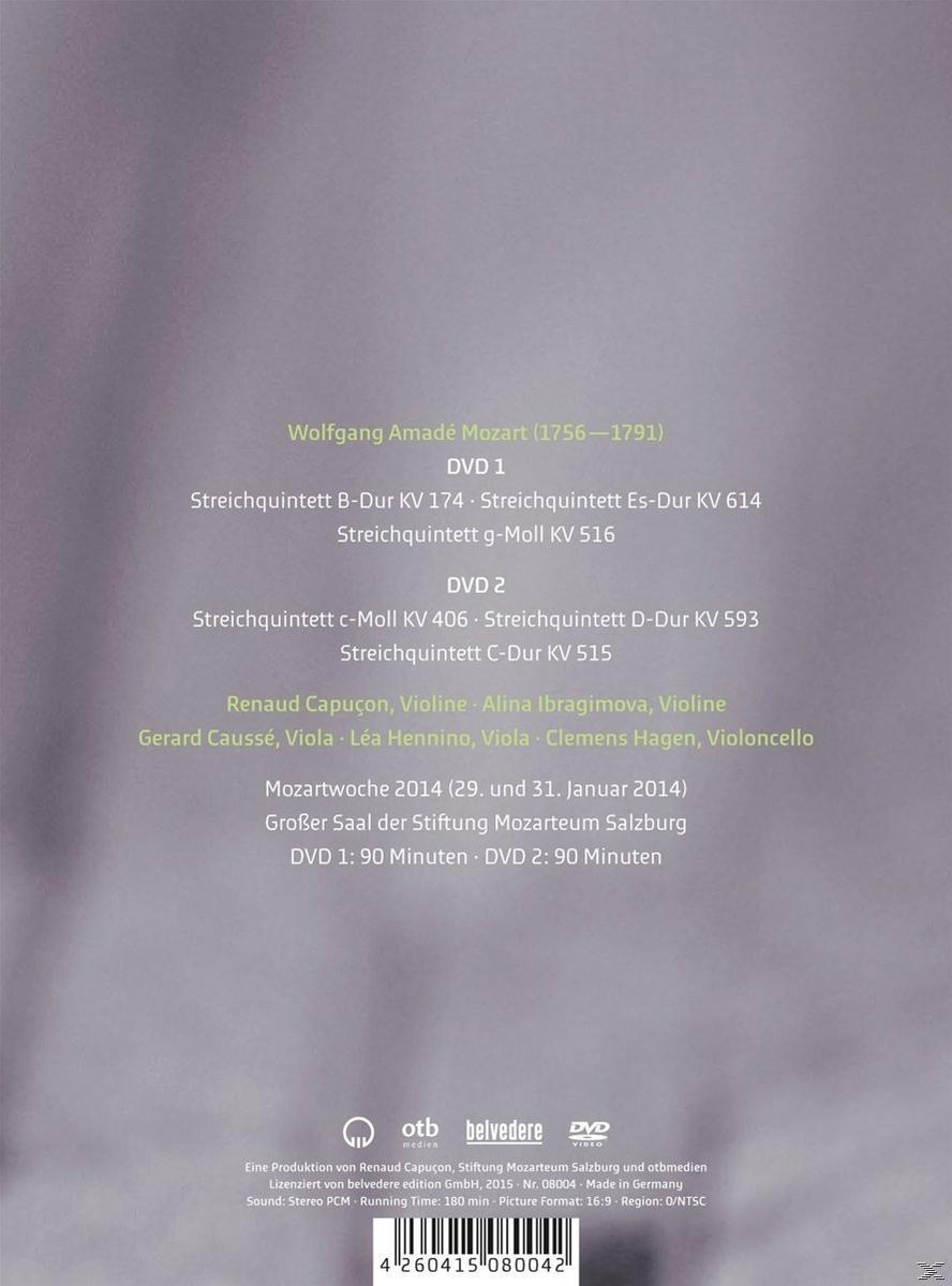 Mozarts + Ibragimova, Streichquintette Capucon, Alina Hagen, Renaud Lea (LP Gerard Clemens Hennino, - Causse Bonus-CD) -