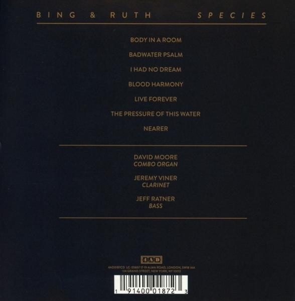 Bing & Ruth - I Had No Dream  - (CD)