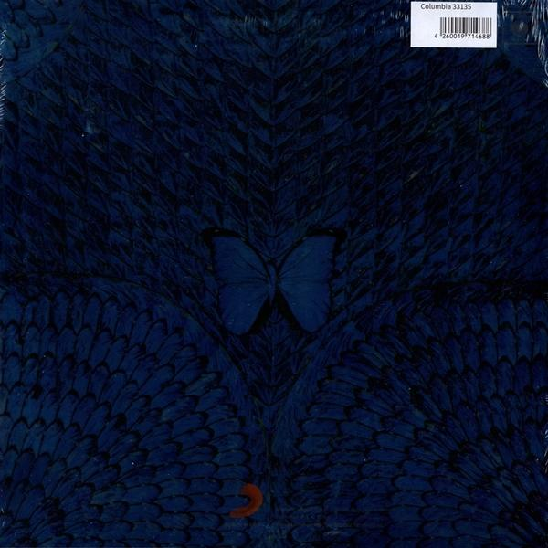 Vinil lemez borítója pillangóval és bonyolult kék tollmintával.