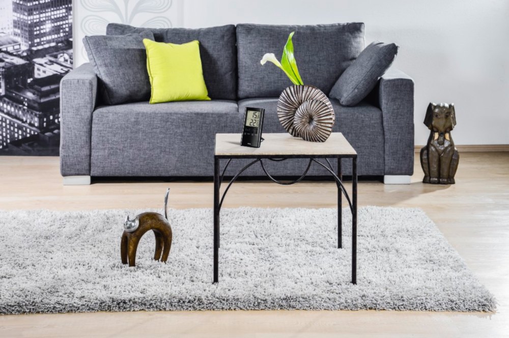 Woonkamer met een grijze bank, een tafel en een vloerkleed. Een kat en hond beeldje op de vloer.