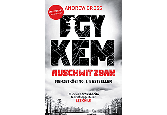 Andrew Gross - Egy kém Auschwitzban