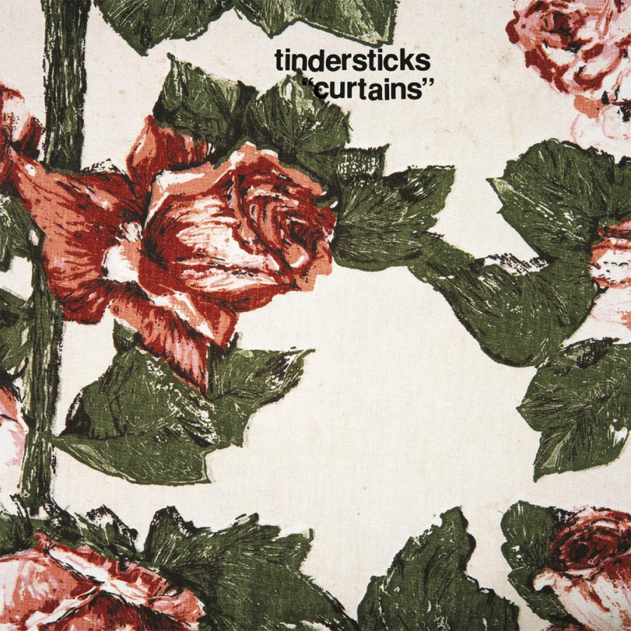 Couverture d'album, tindersticks. Roses rouges avec feuilles vertes sur fond blanc.