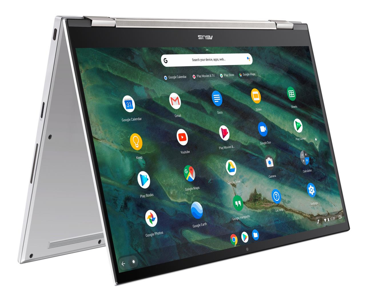 ASUS Chromebook Flip (C436FA-E10127)