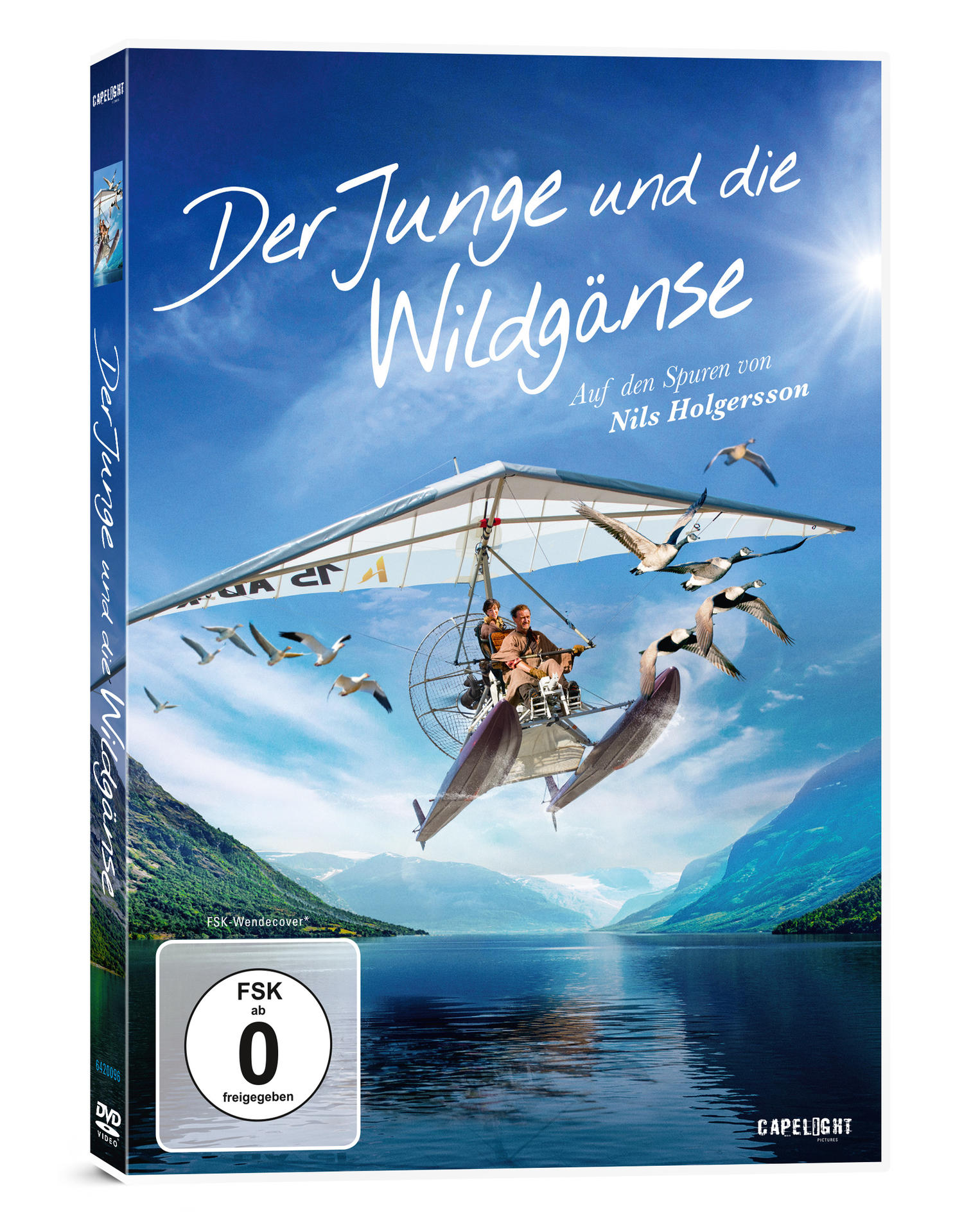 DVD die Wildgänse Der und Junge