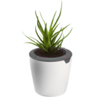 DIE HÖHLE DER LÖWEN Lazy Leaf Blumentopf Selbstgießend 17cm