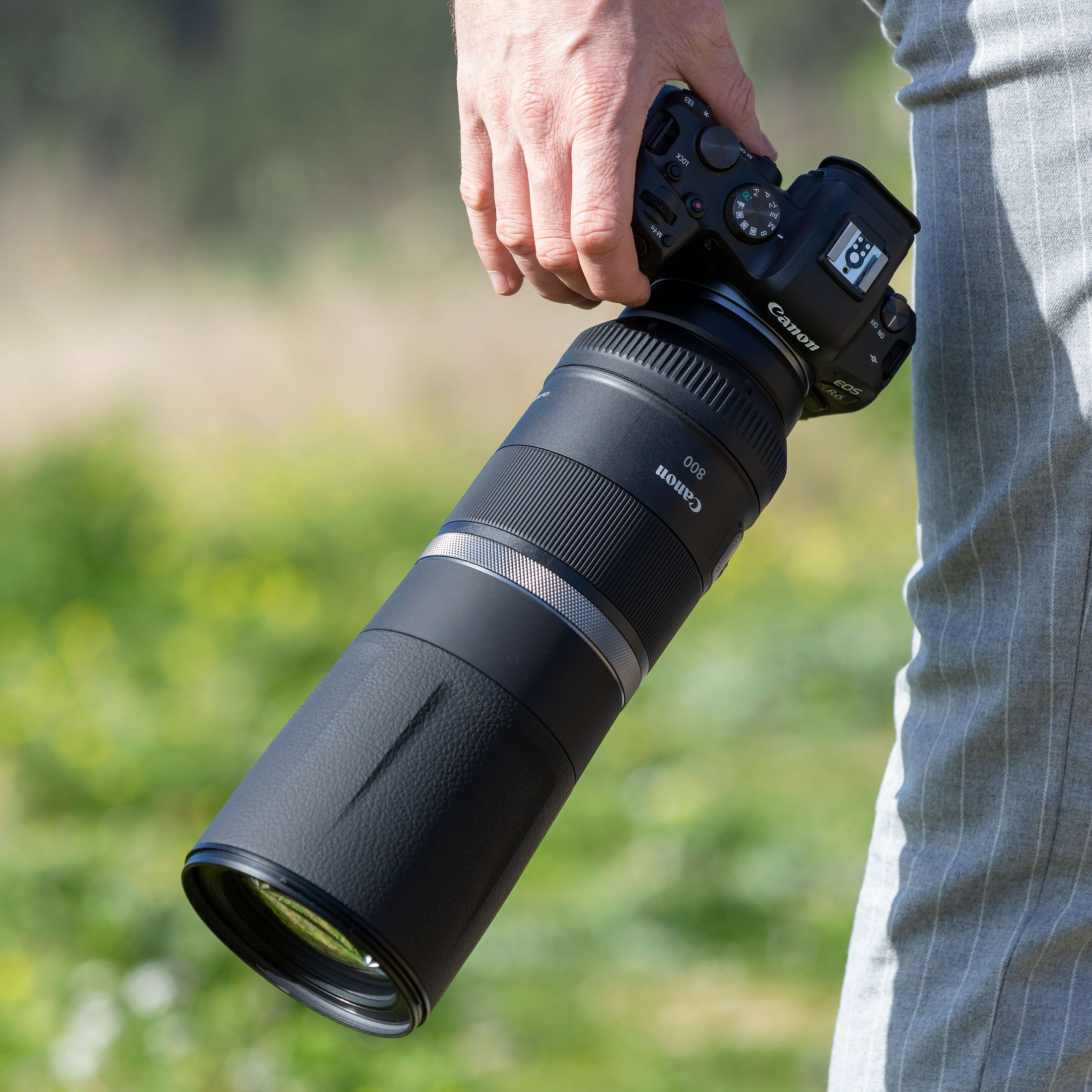 CANON RF 800mm F11 IS STM - Festbrennweite(Canon R-Mount, Vollformat)