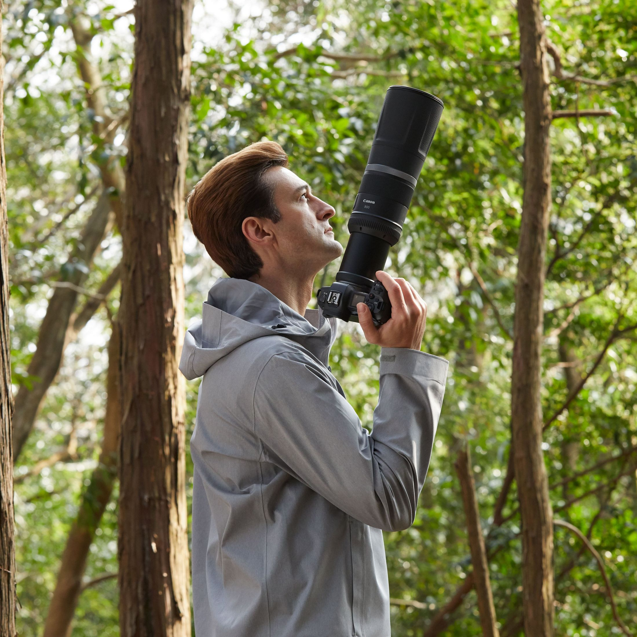 CANON RF 800mm F11 IS STM - Festbrennweite(Canon R-Mount, Vollformat)