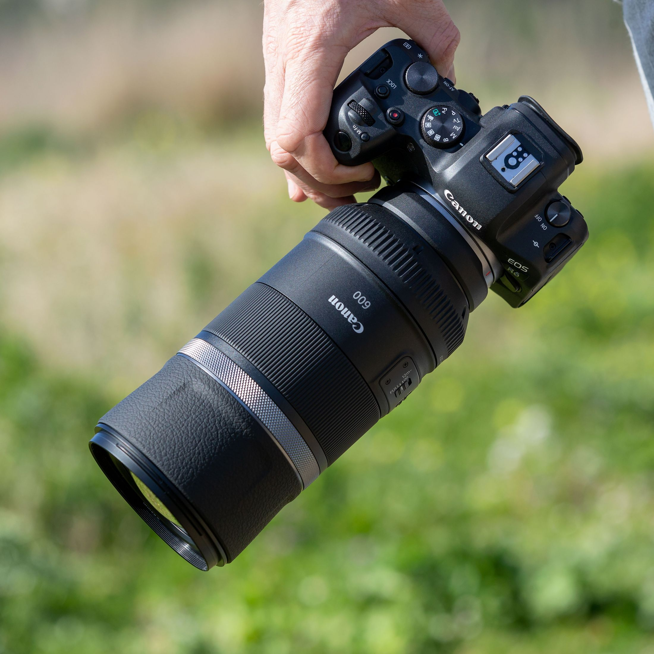 Une main tient un appareil photo Canon EOS R6 noir avec un long objectif.