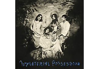 Immaterial Possession - IMMATERIAL POSSESSION  - (Vinyl)