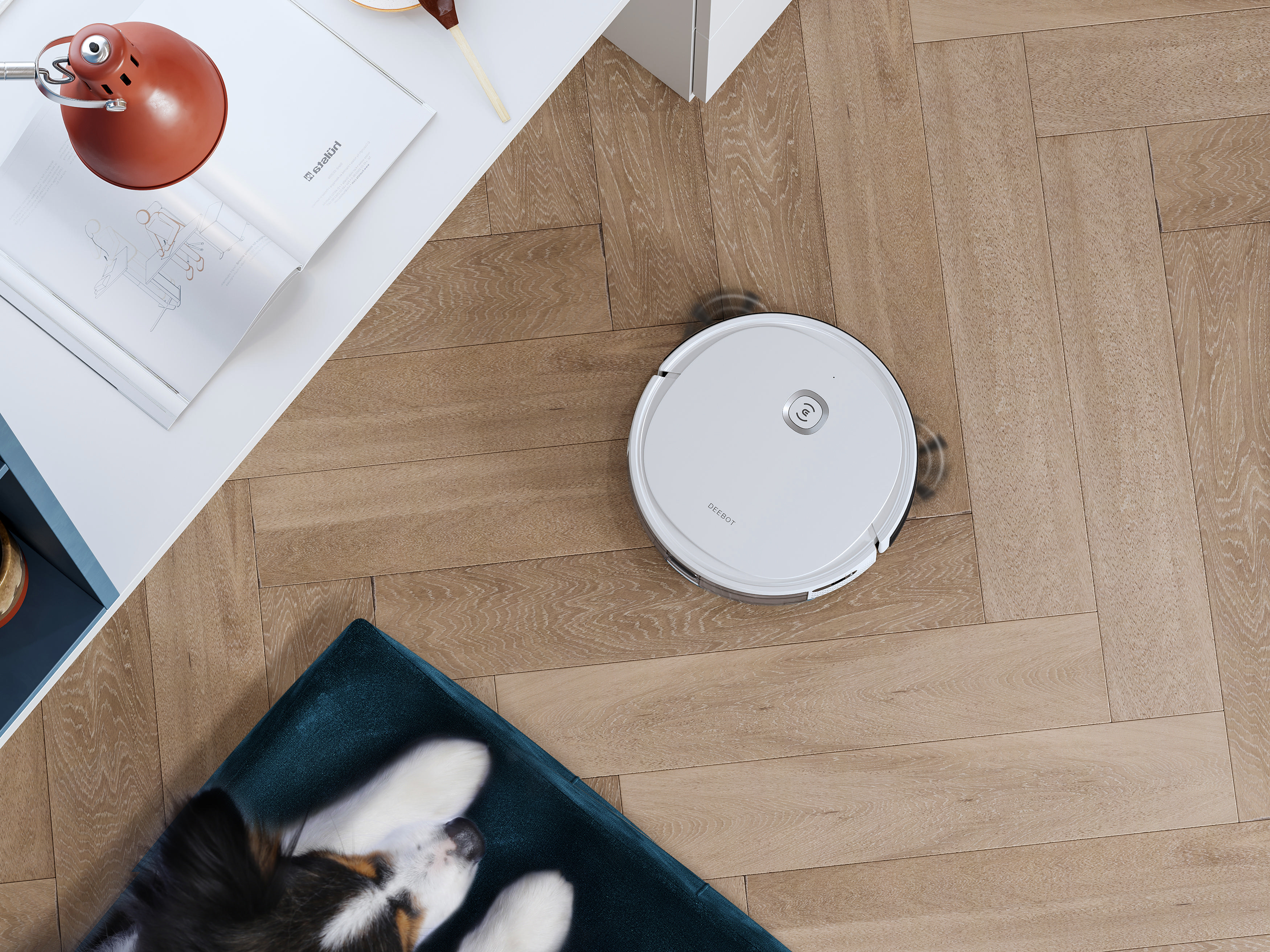 Ein weißer Roboterstaubsauger reinigt einen Holzboden. Ein Hund liegt auf einer blauen Matte neben einem Tisch.