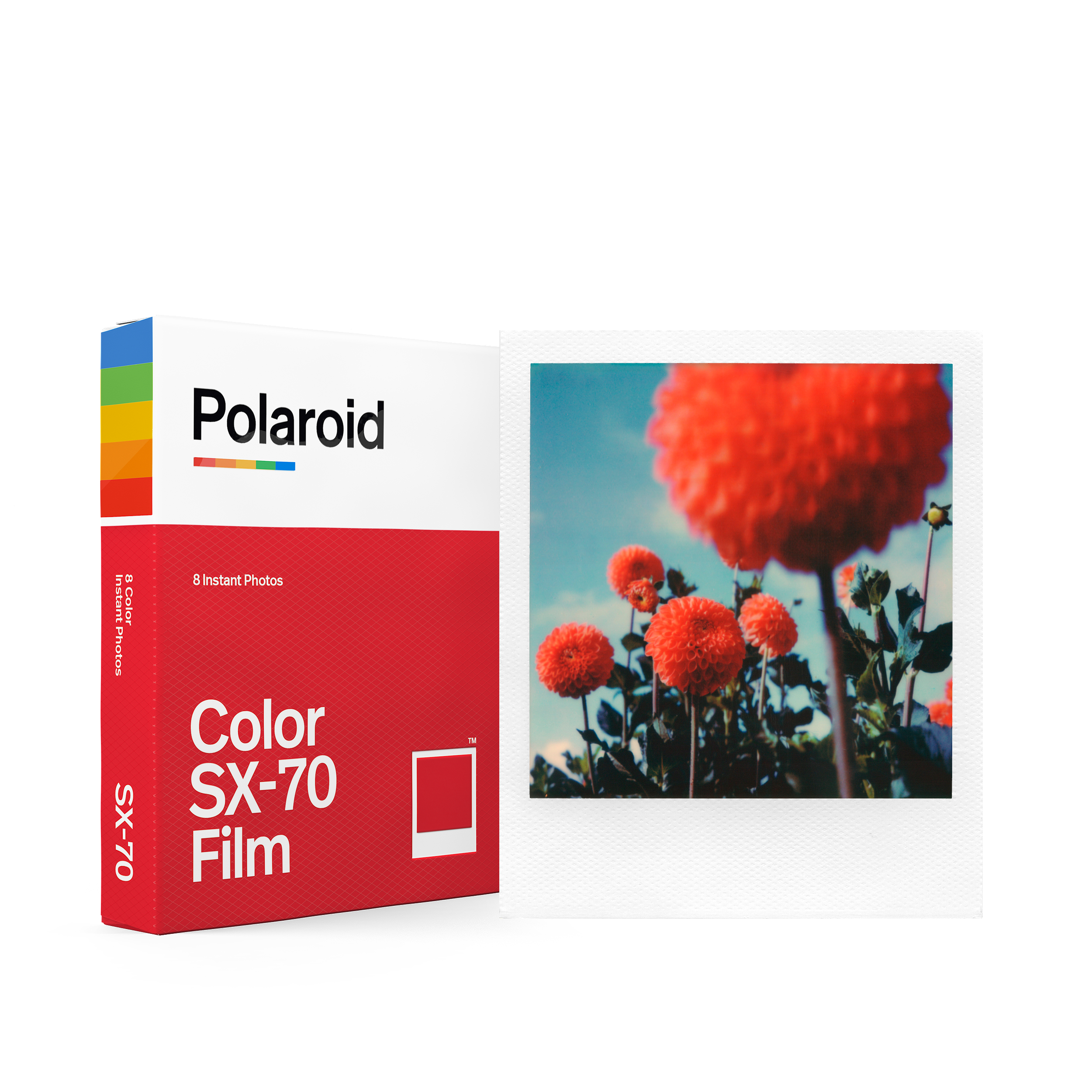Eine Packung Polaroid SX-70 Film neben einem Foto von roten Blumen vor blauem Himmel. Der Hintergrund ist weiß.