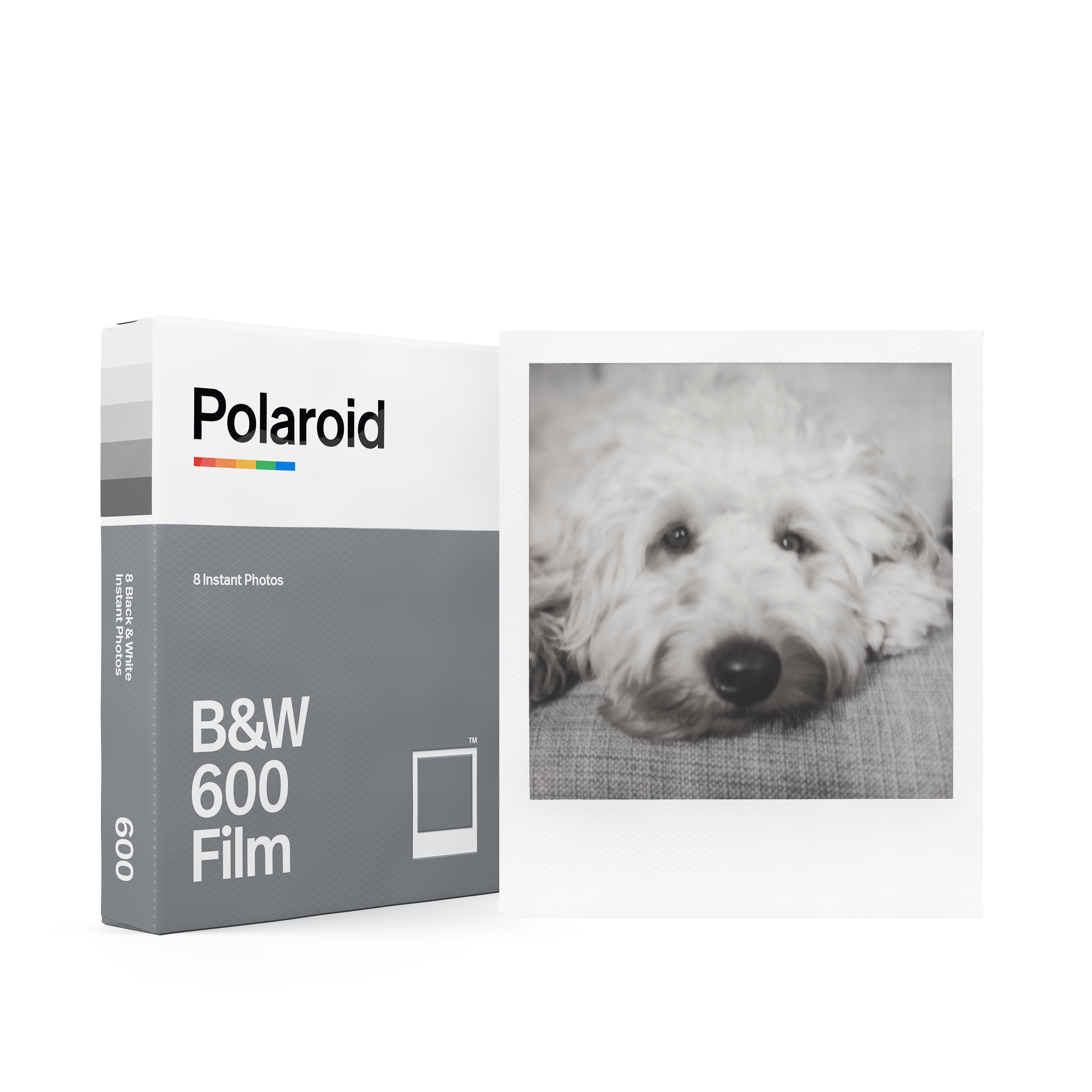 Schachtel Polaroid B&W 600 Film neben einem Schwarzweißfoto eines Hundes.