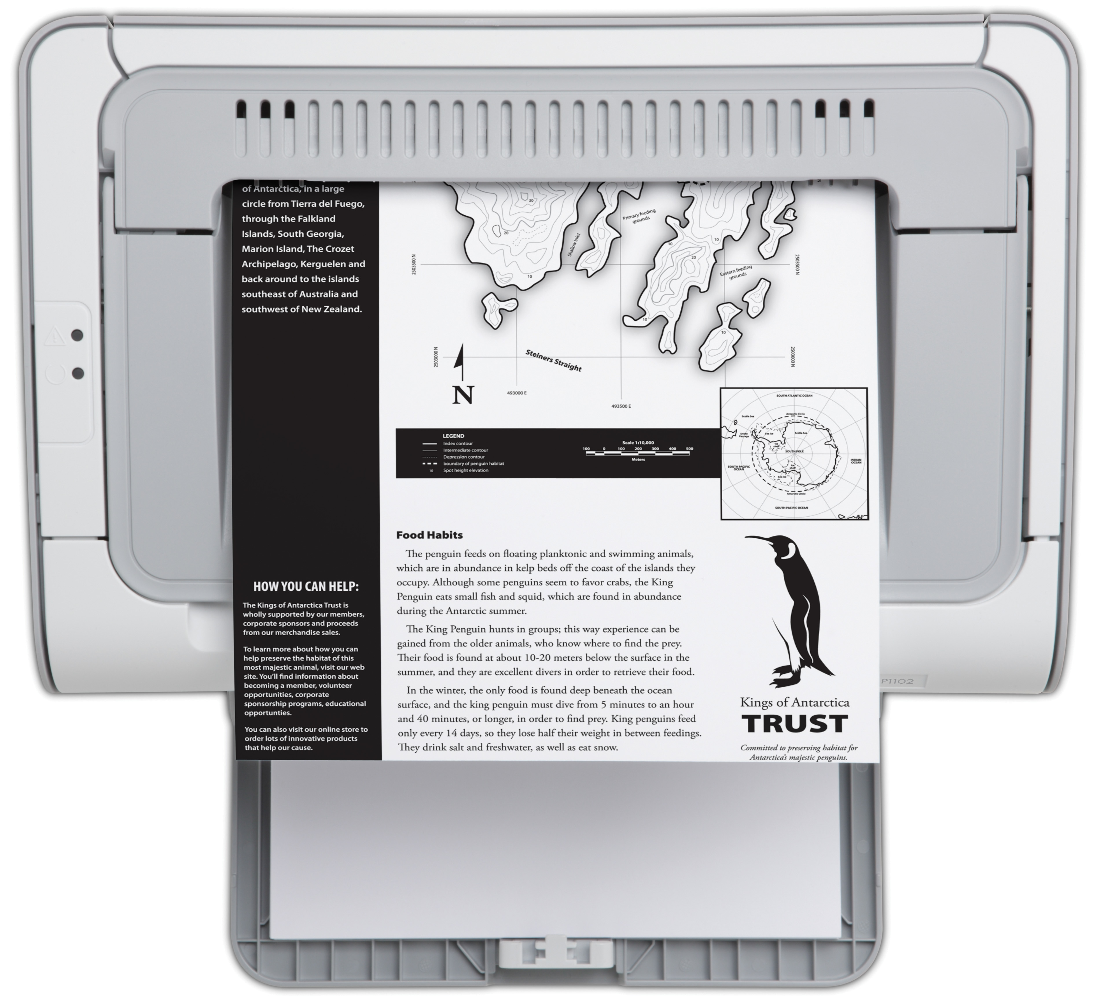 Impresora Láser Monocromo- HP LaserJet Pro P1102