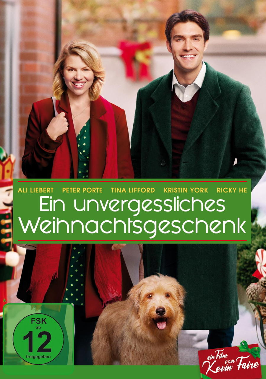 Ein unvergessliches Weihnachtsgeschenk DVD