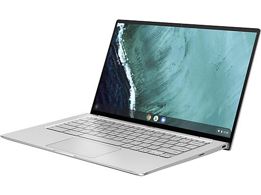 ASUS Chromebook Flip (C434TA-AI0296)