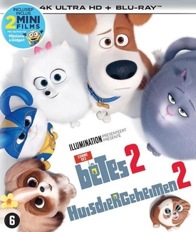 Animatiefilmposter. Verschillende cartoonhuisdieren staan afgebeeld. Bevat tekst in meerdere talen.