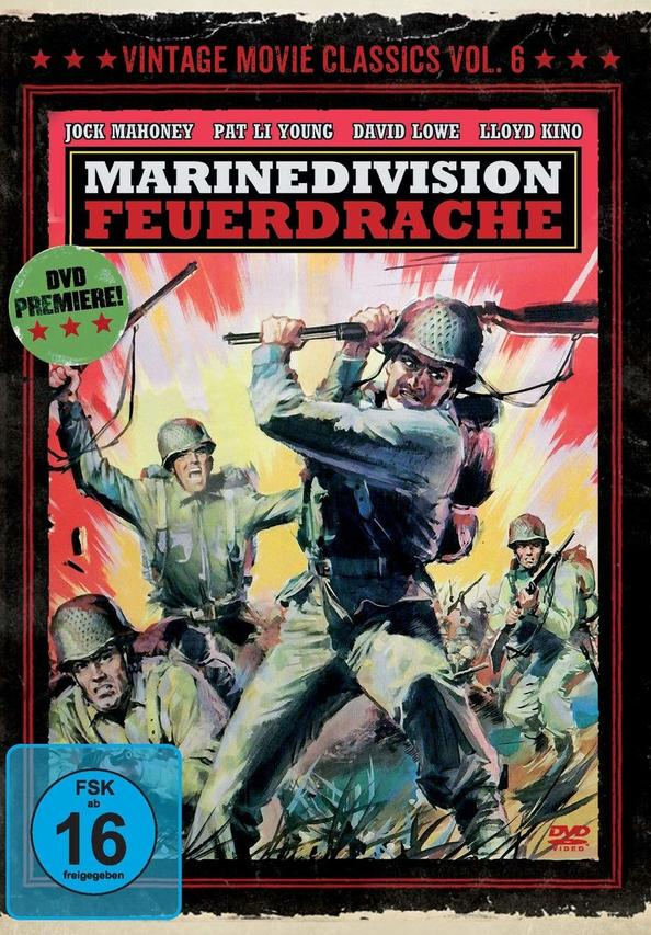 DVD-Cover mit Soldaten in Aktion. Text: MARINEDIVISION FEUERDRACHE.
