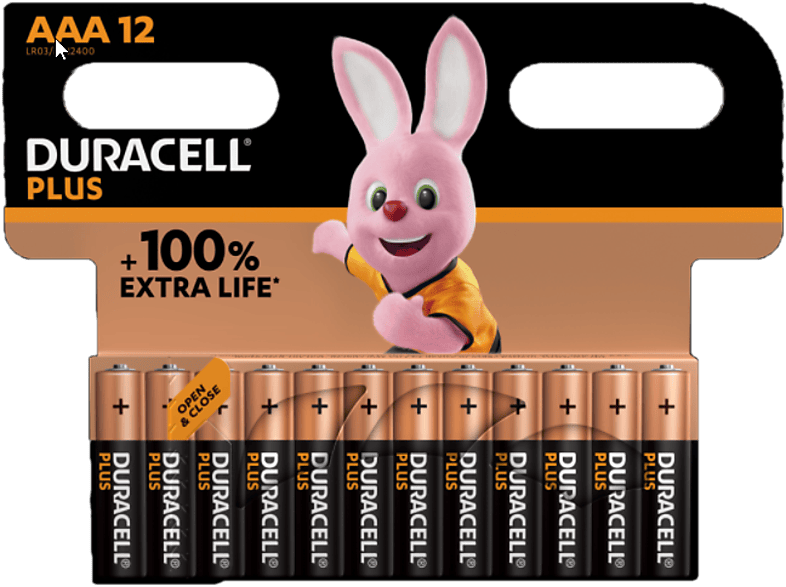 Duracell Aaa-batterijen Alcalines Plus Pack 12 (5000394141230)