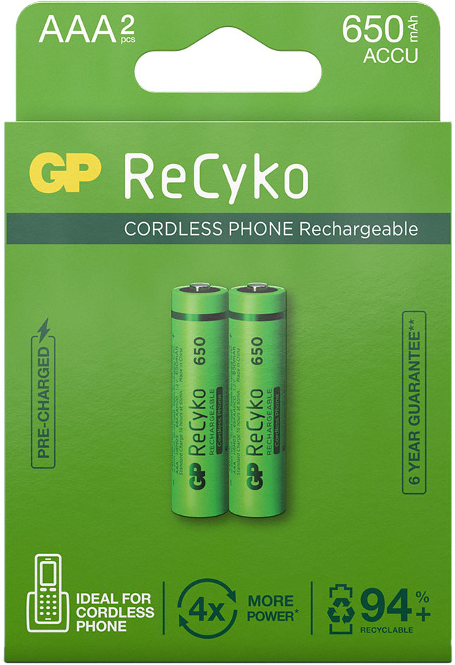 GP BATTERIES Piles AAA rechargeables ReCyko 650 mAh 2 pièces (GP65AAAHCE-2APCEWB2)