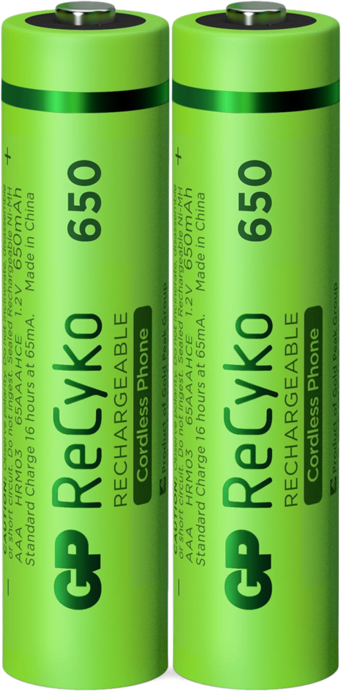 GP BATTERIES Piles AAA rechargeables ReCyko 650 mAh 2 pièces (GP65AAAHCE-2APCEWB2)