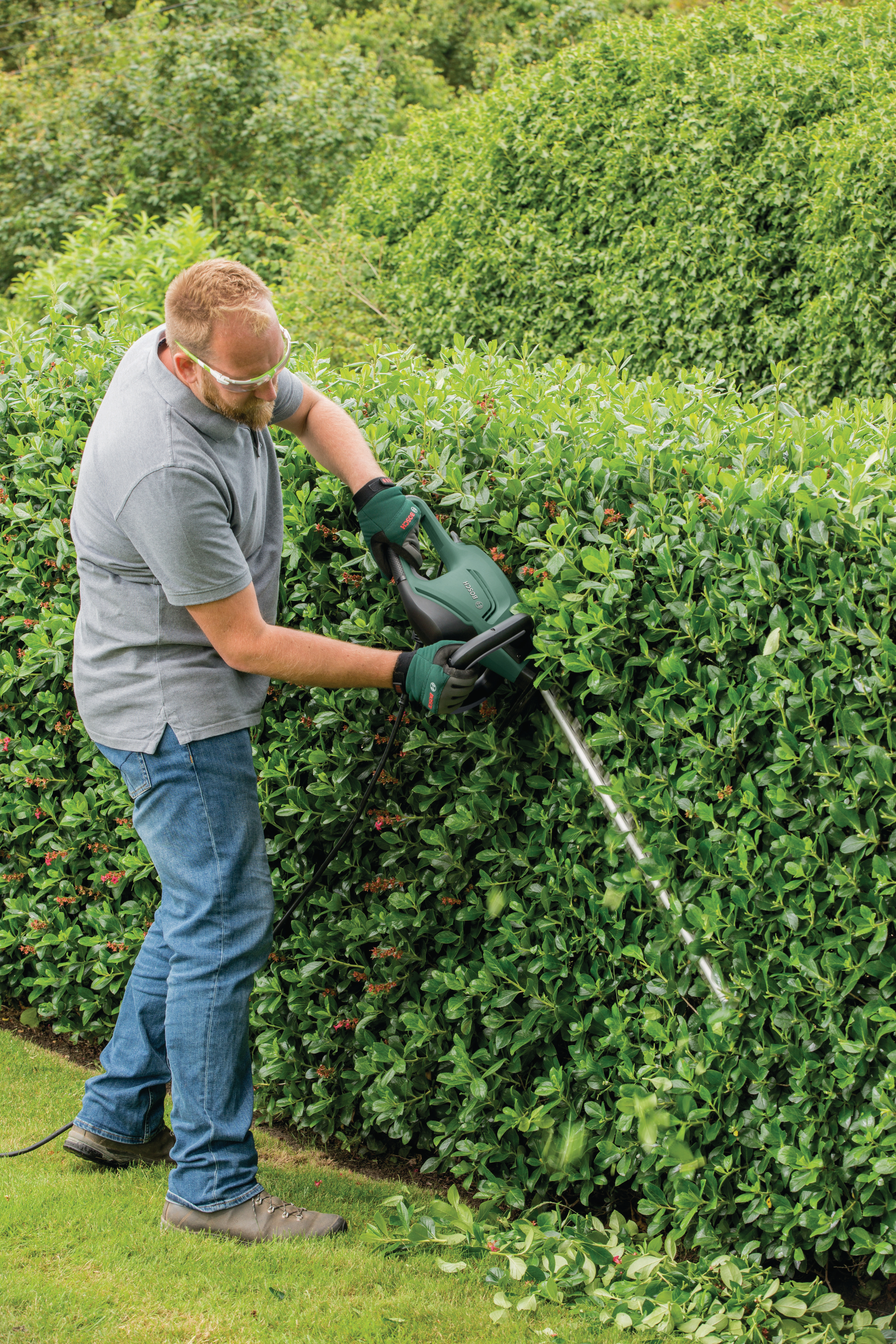 BOSCH UniversalHedgeCut 50 Heckenschere Dunkelgrün