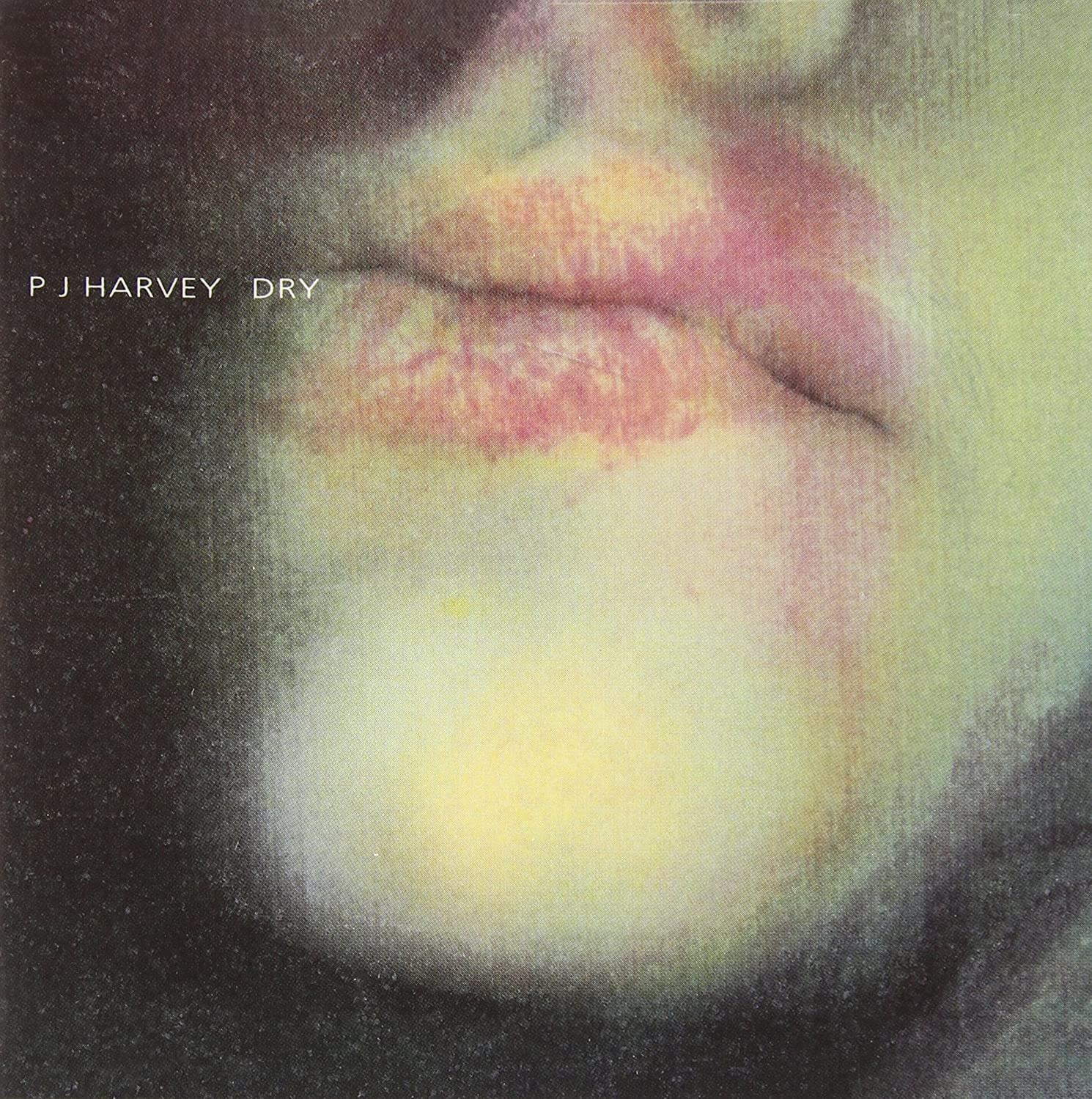Nahaufnahme von Lippen, Teil eines Gesichts, mit dem Text 'P J Harvey Dry'.