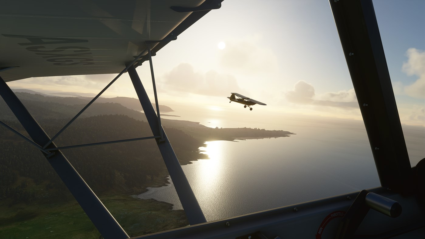 PC - Flight Simulator: Standard (ESD)