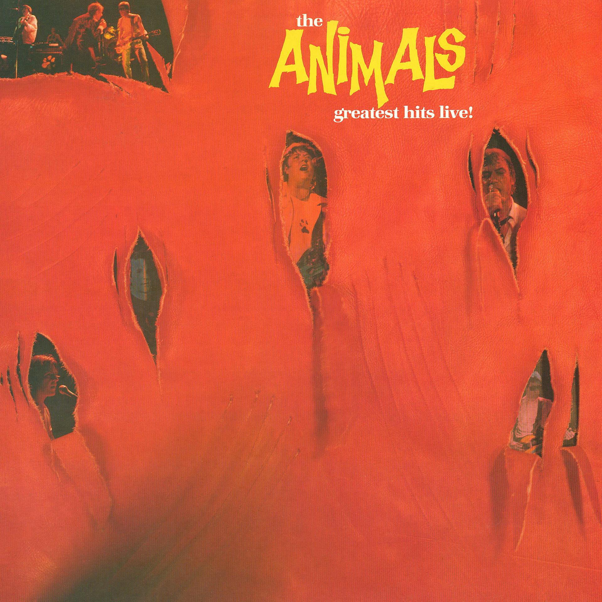 The Animals - Greatest Hits Live  - (CD)