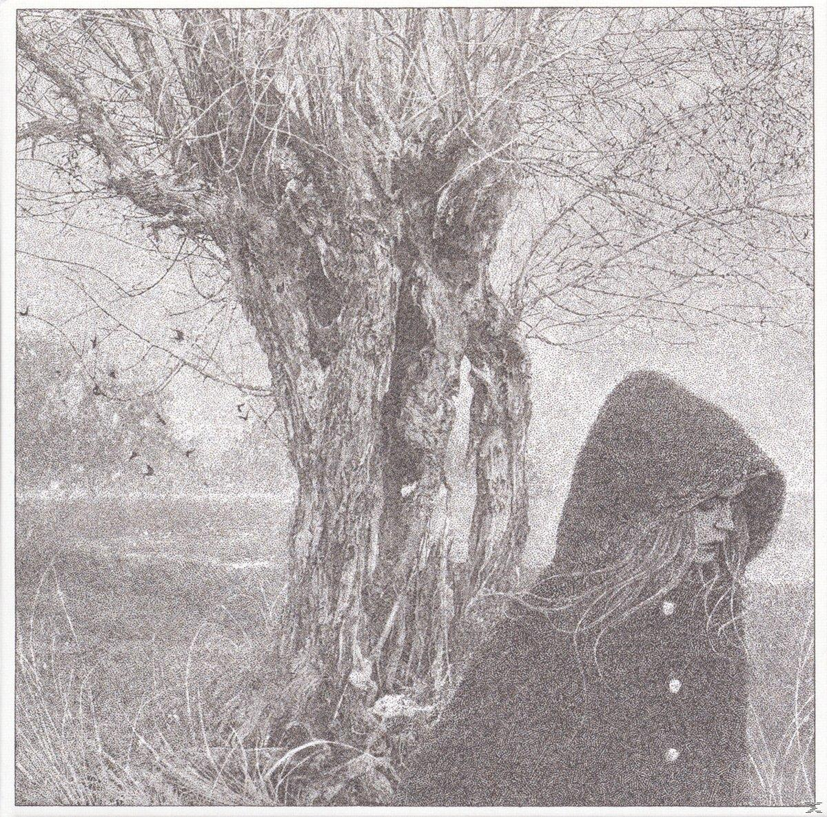 Lankum - Between The Earth And Sky  - (LP + Download)