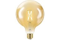 WIZ Globe Filament E27 50 W Goud