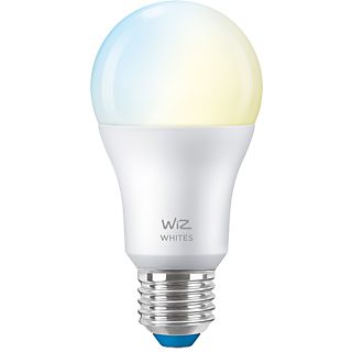 WIZ Lamp E27 60 W Mat