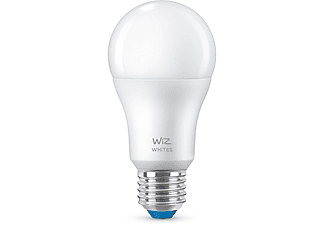 WIZ Lamp E27 60 W Mat