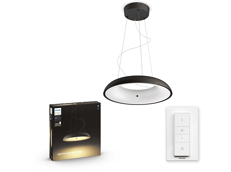 Lámpara Bluetooth - Philips Hue White Ambiance Amaze, Aplique y plafón Amaze LED incorporado 33,5 W, Negro