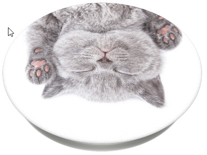 Un chaton gris est allongé sur le dos, pattes en l'air, yeux fermés. Le chaton est sur une surface ovale blanche avec une ombre.