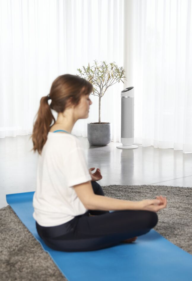 ROWENTA Silent Comfort 3-in-1 Tower HQ8120