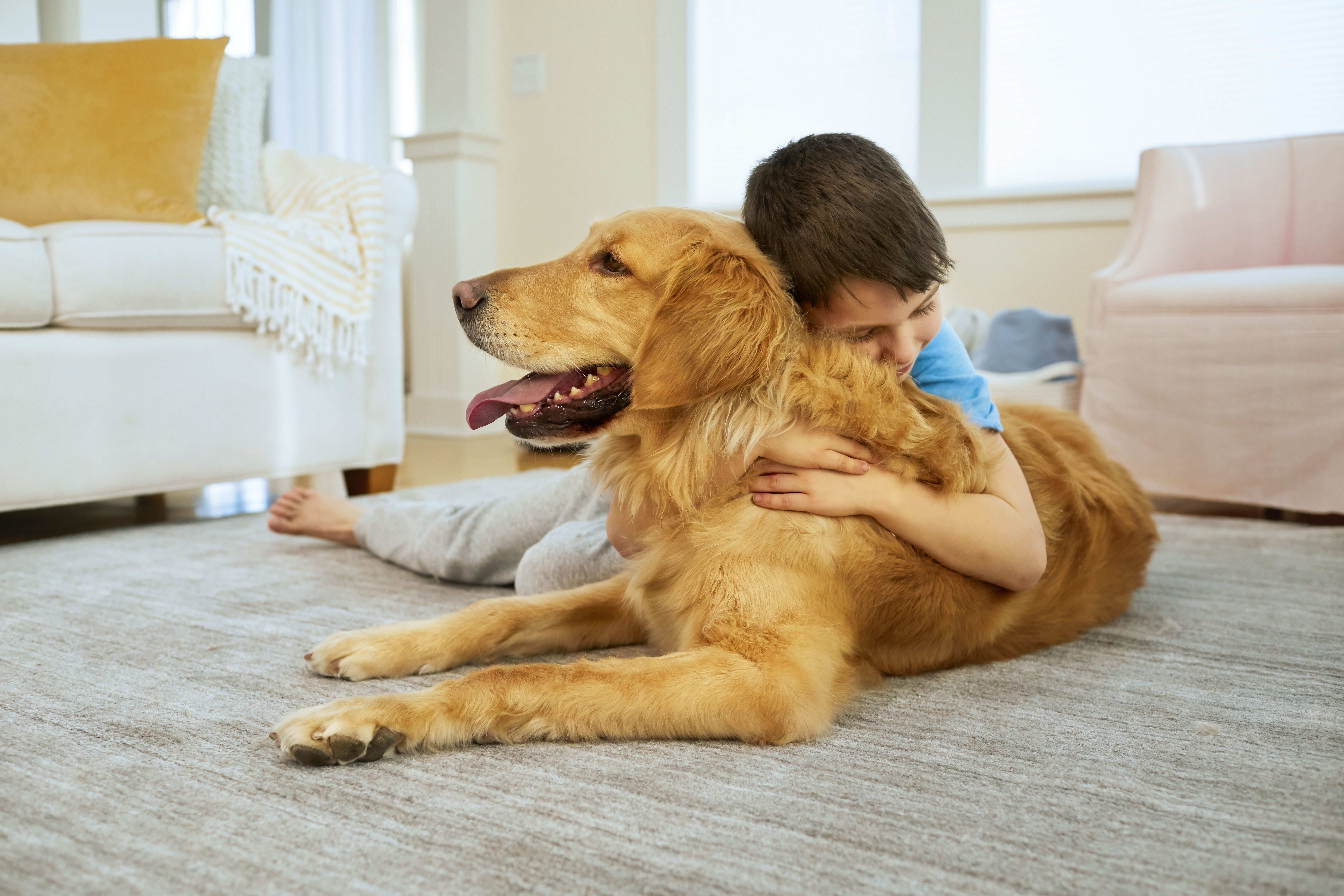 Ein Junge umarmt einen Golden Retriever auf einem Teppich. Hund und Junge im Wohnzimmer.