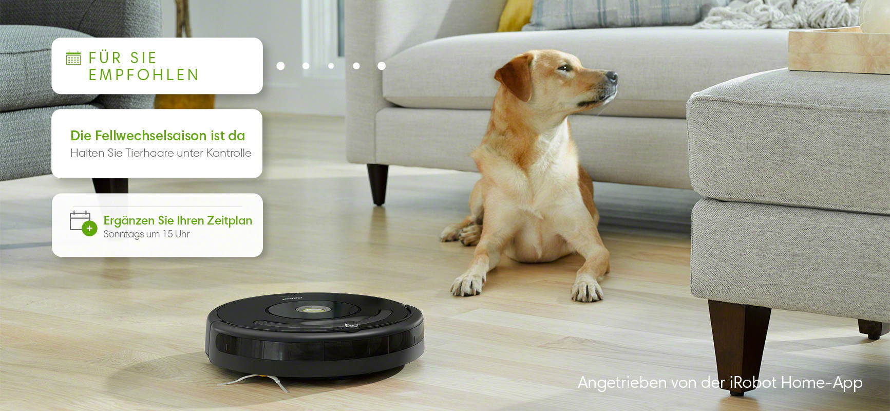 Hund und Roboter-Staubsauger im Wohnzimmer. Textfelder schlagen Reinigungspläne vor.