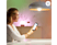 WIZ LED-spot WiFi Whites RGB GU10 50W Duo-pack (55103900)