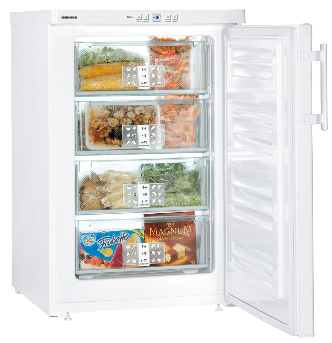 LIEBHERR GP 1376-21 Gefrierschrank (E, 102 l, 851 mm hoch)
