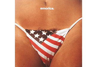 The Black Crowes - Amorica (CD)