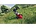Landwirtschafts-Simulator 19: Alpine Landwirtschaft (Add-on) - PC - Allemand