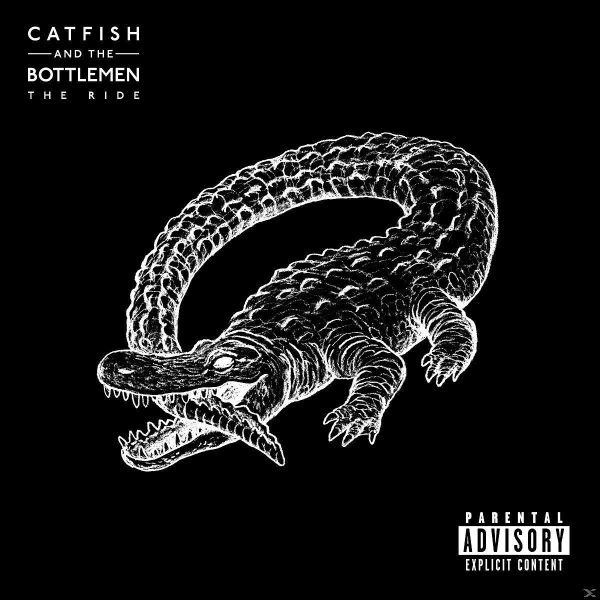 A Catfish and the Bottlemen album borítója, fekete háttér, egy aligátor illusztráció.