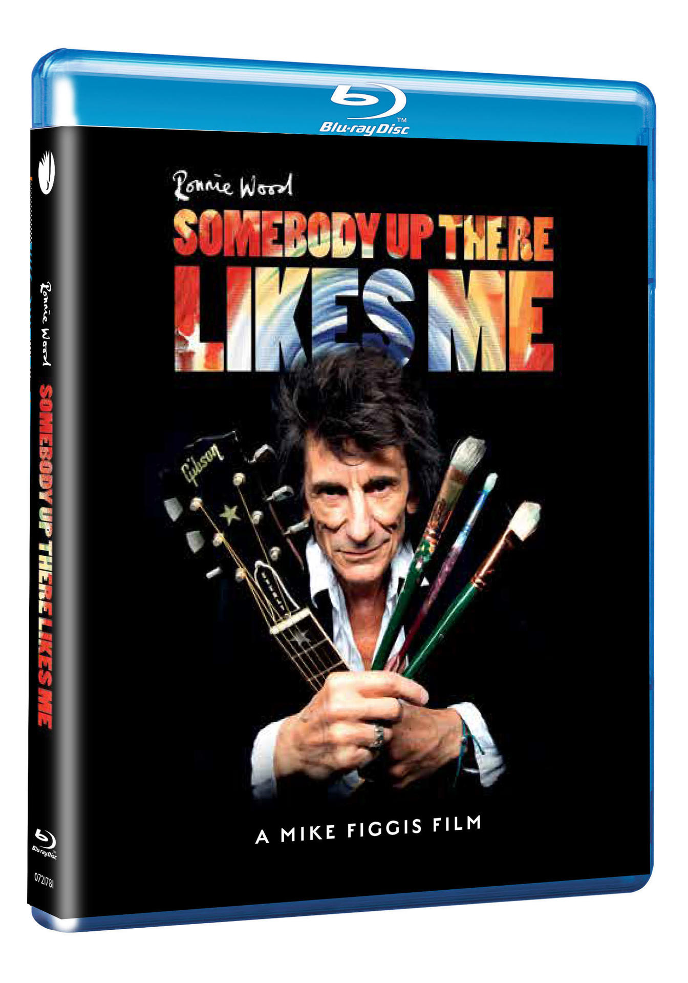 Blu-ray movie cover with a man holding a guitar and paintbrushes. Black background.