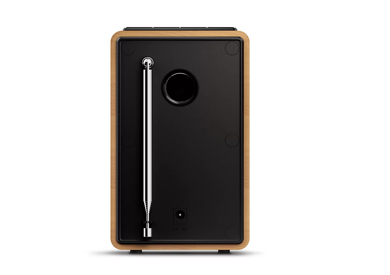 Black audio speaker back with an antenna and connector.