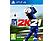 PGA Tour 2K21 (PlayStation 4)