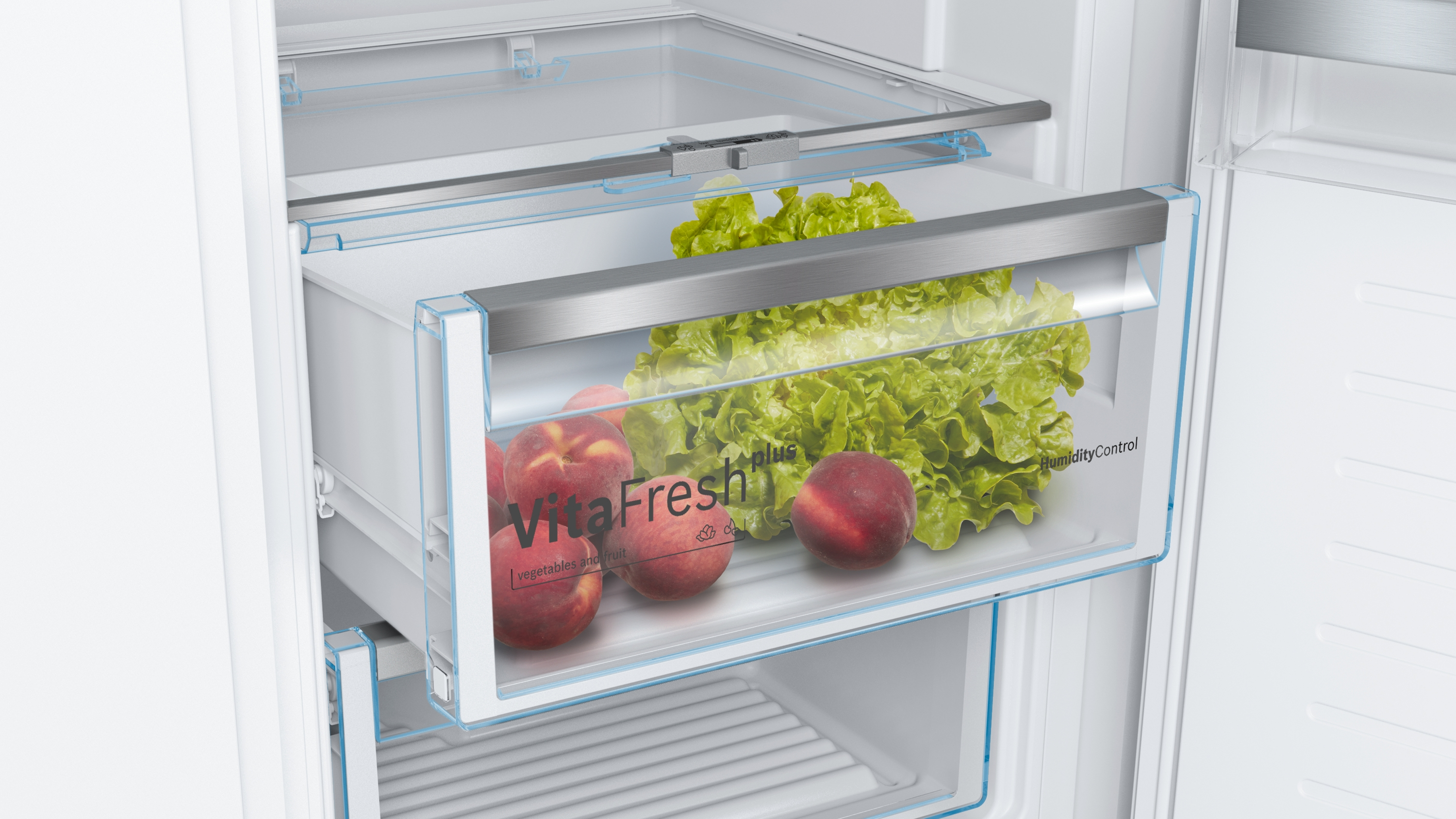 Kühlschublade mit Salat und Pfirsichen. Die Schublade ist geöffnet. Weißer Hintergrund.